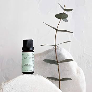 OilWise Eucalyptus Essential Oil